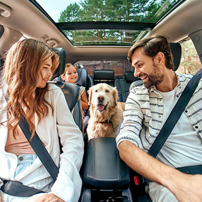 Car Rentals